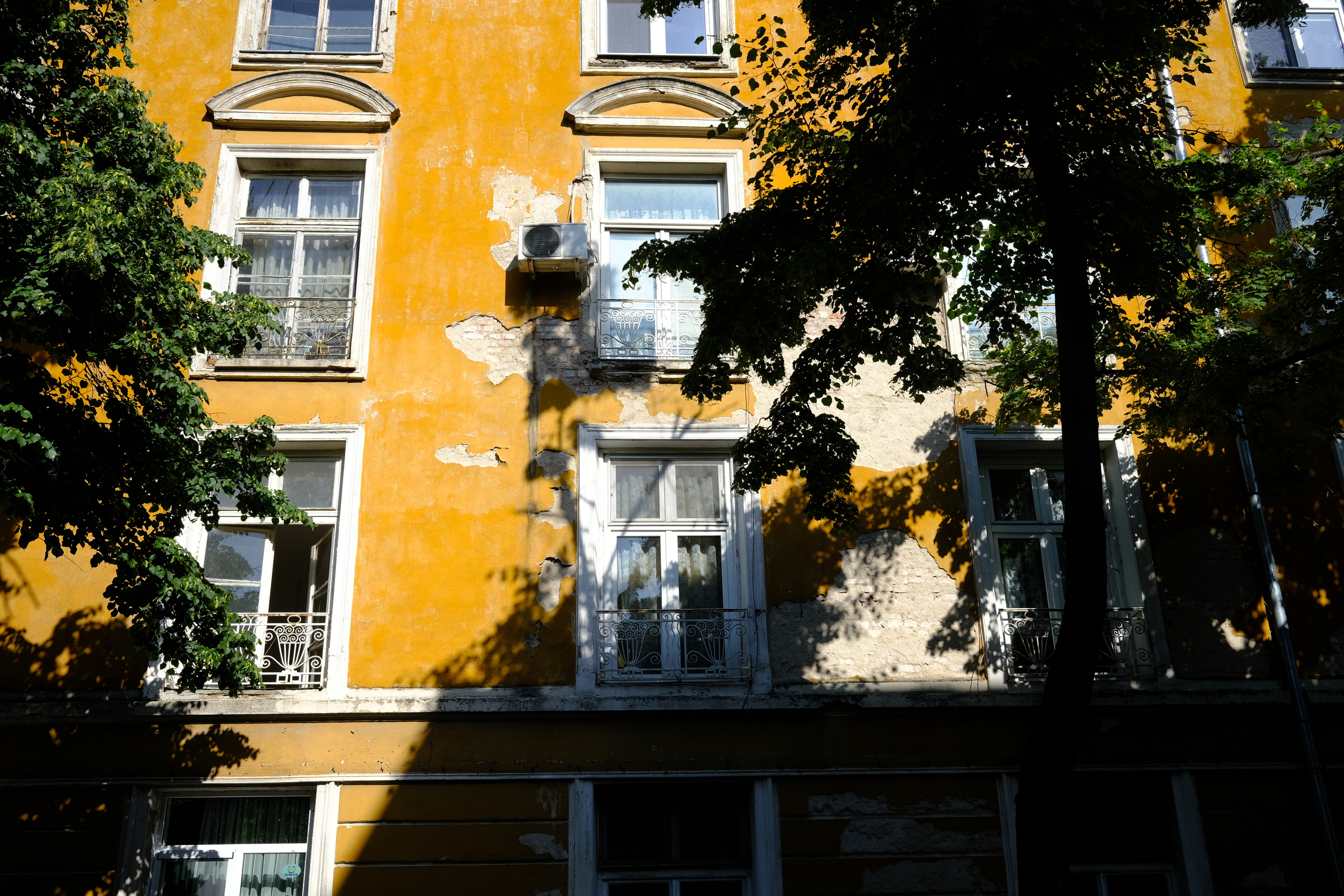 DSCF3076.JPG