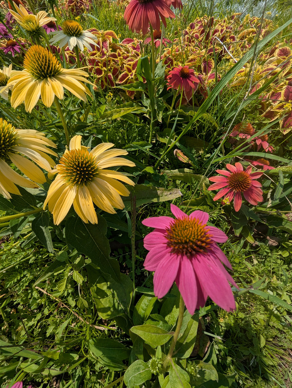 PXL_20250807_121001759.jpg